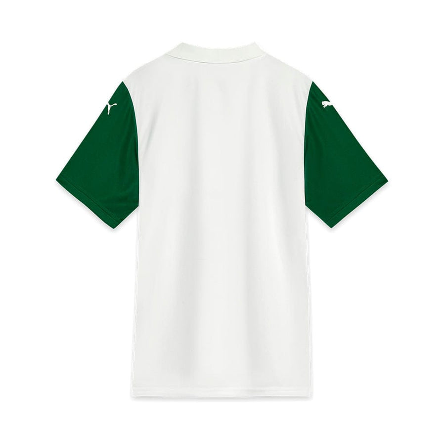 Camisola Palmeiras Alternativa 25/26