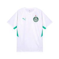 Camisola Palmeiras Treino 26/27