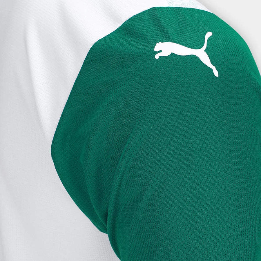 Camisola Palmeiras Alternativa 25/26