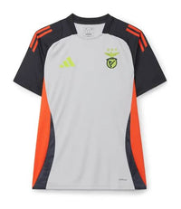 Camisola treino cinza 2024/25
