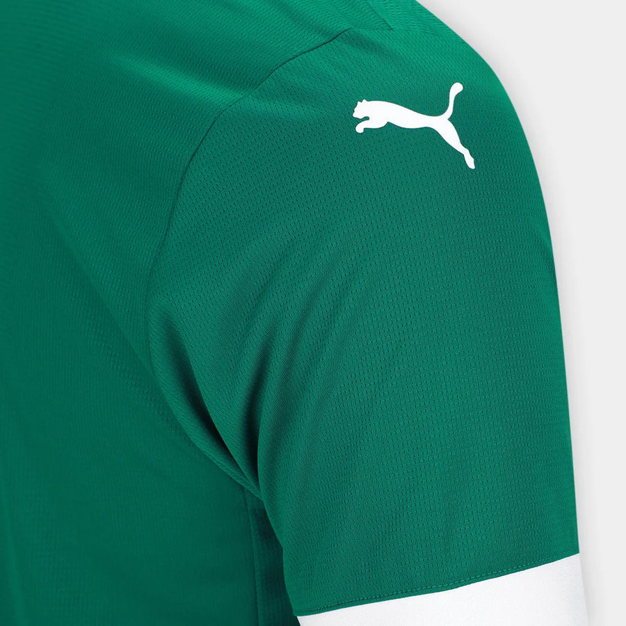 Camisola Palmeiras Principal 25/26
