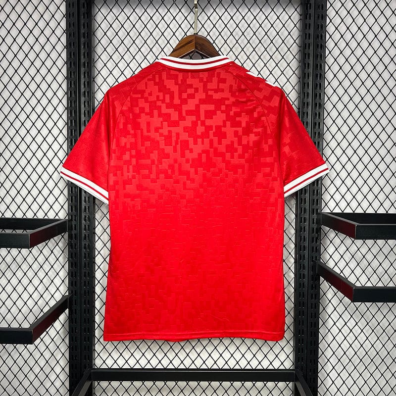 Camisola Seleção Dinamarca 24/25 - Home - Vermelha