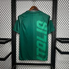 Camisola Itália 24/25 Special GREEN